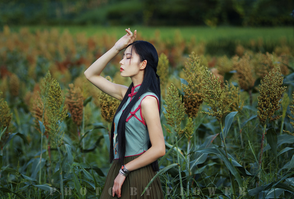 旗袍女子守望在这秋日季节