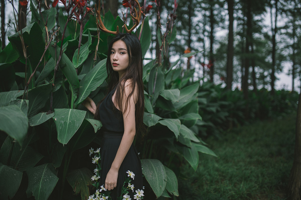 麋鹿女子森林唯美清纯图